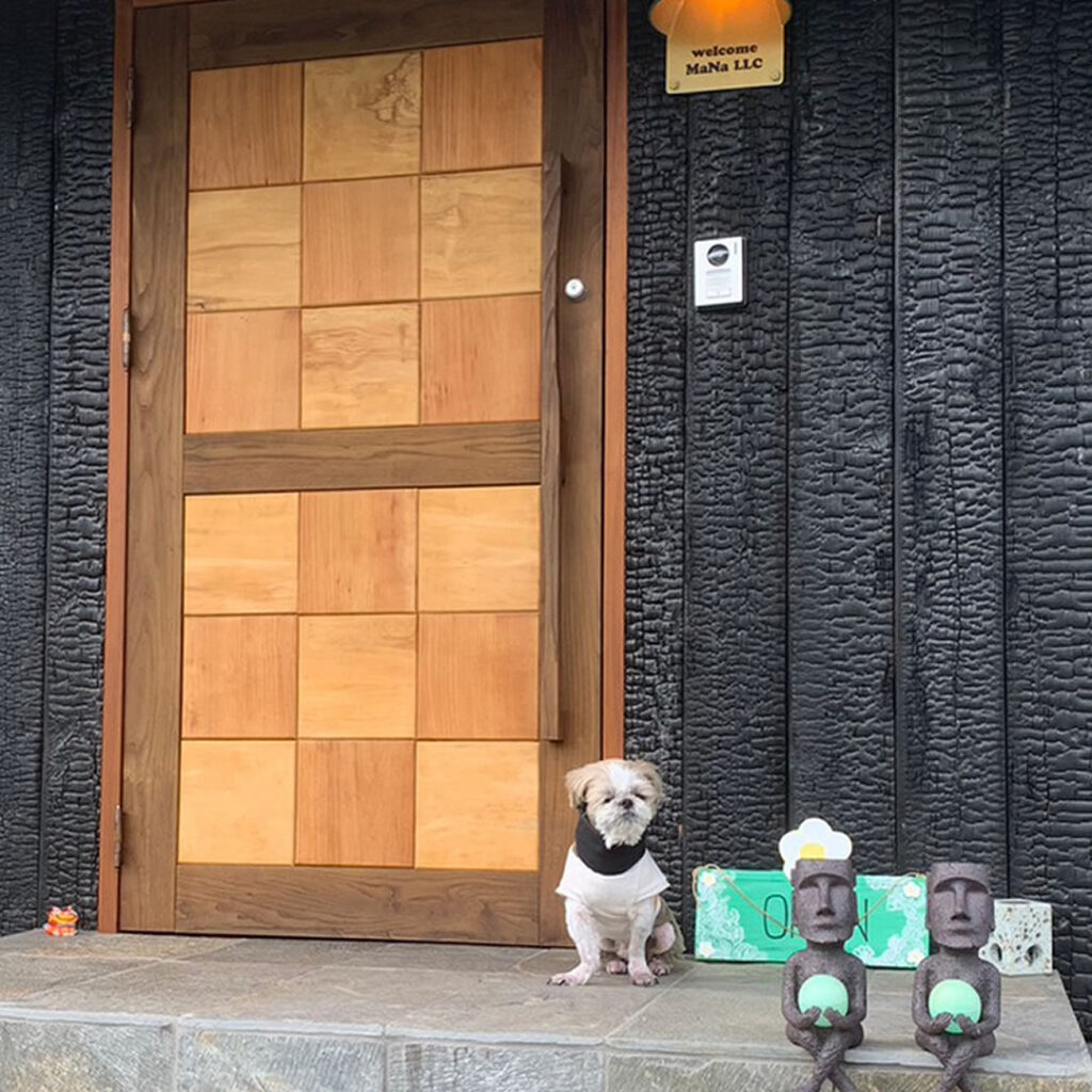 看板犬と外観