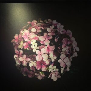 ペキュリア栃木宇都宮の内装 (3)